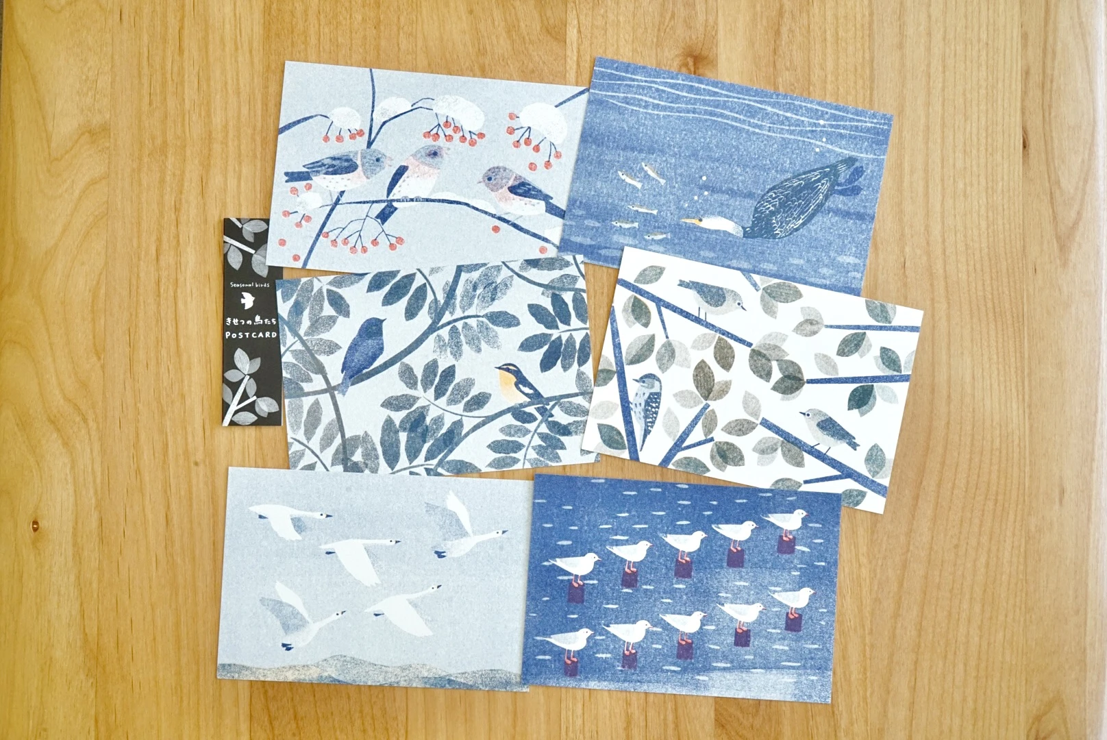 itsuko naka｜季節鳥群明信片6入組合