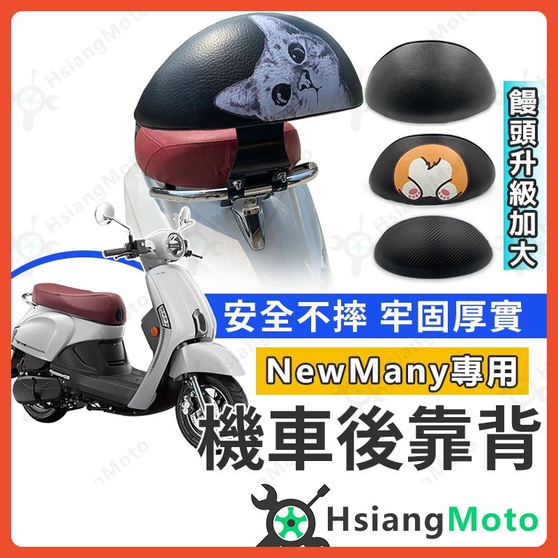 【翔好機車】NEW MANY 靠背 NEW MANY 110 靠背 MANY110 後靠背 機車後靠背 機車靠背