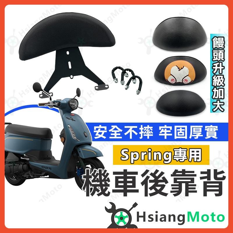 【翔好機車】PGO Spring 125 春天 機車靠背 機車後靠背 後靠背 機車靠背墊 機車後座靠背 摩托車靠背