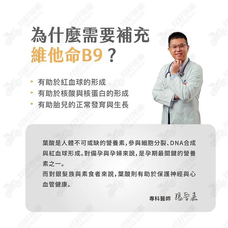 【翔好機車】優維特 VITA 維他命B9 葉酸 800mcg 100顆 B9 維他命 b9維他命 維生素b9 b9維生素