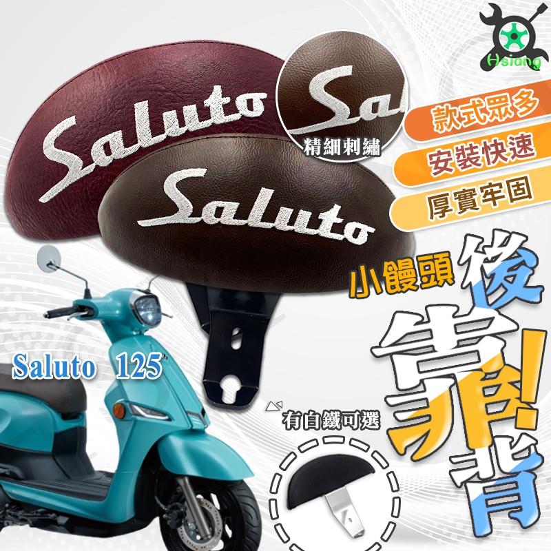 【翔好機車】SALUTO 後靠背 SALUTO 125 機車靠背 機車後靠背 靠背 suzuki 台鈴