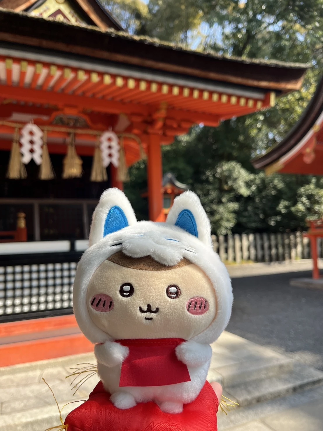 京都限定Chiikawa MOGUMOGU本舖伏見稻荷娃娃(栗子饅頭)