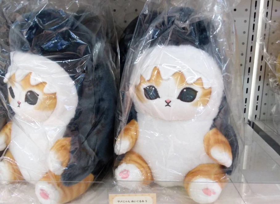 mofusand鯊魚貓坐姿