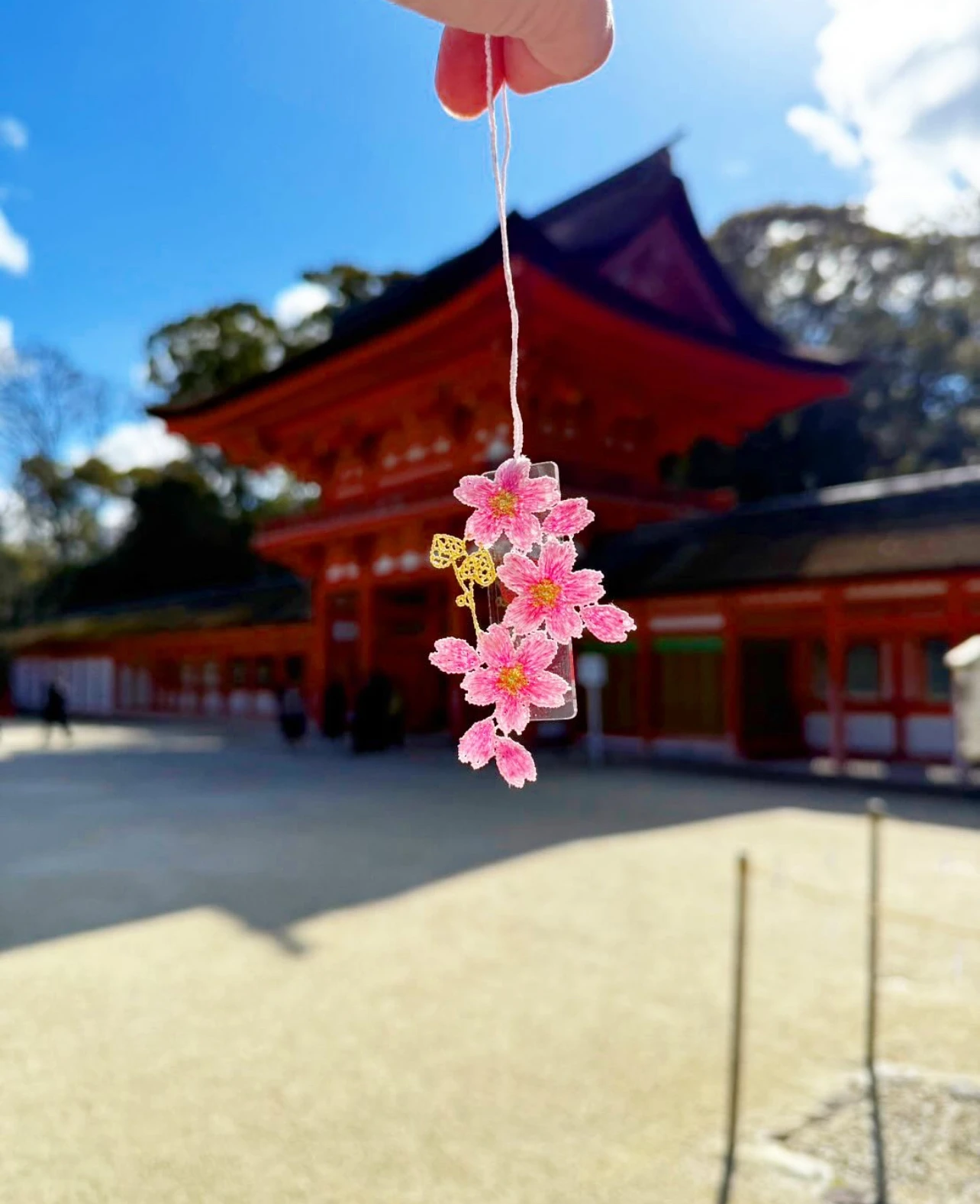 京都下鴨神社 賀茂御祖神社 櫻花守