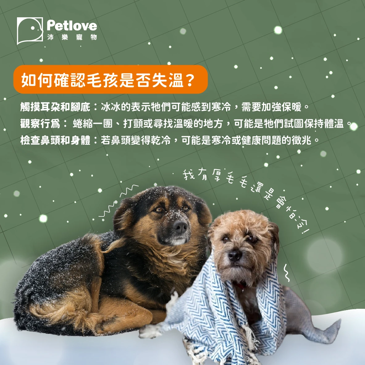 毛孩冬日抗寒|狗狗貓咪保暖與健康照護