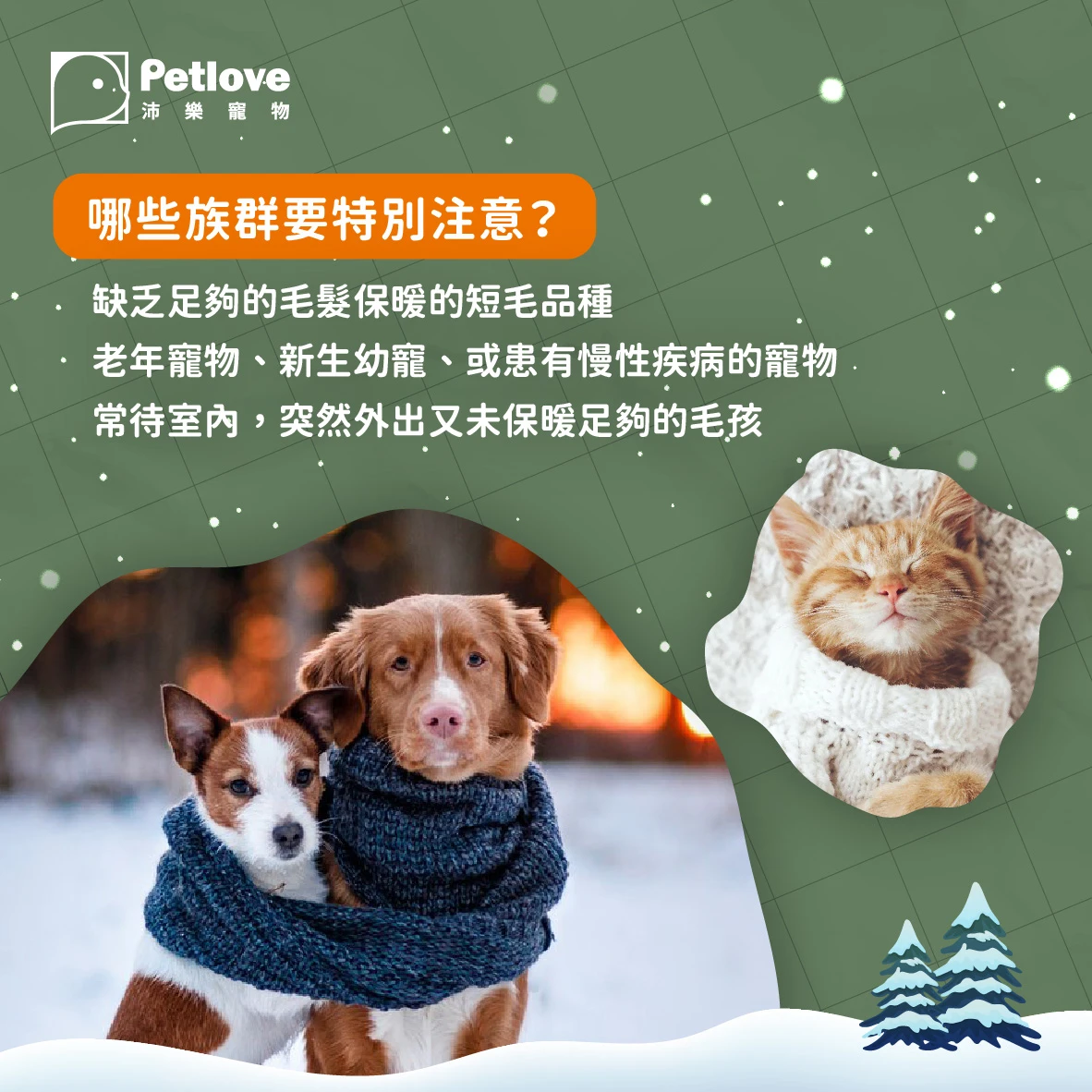 毛孩冬日抗寒|狗狗貓咪保暖與健康照護