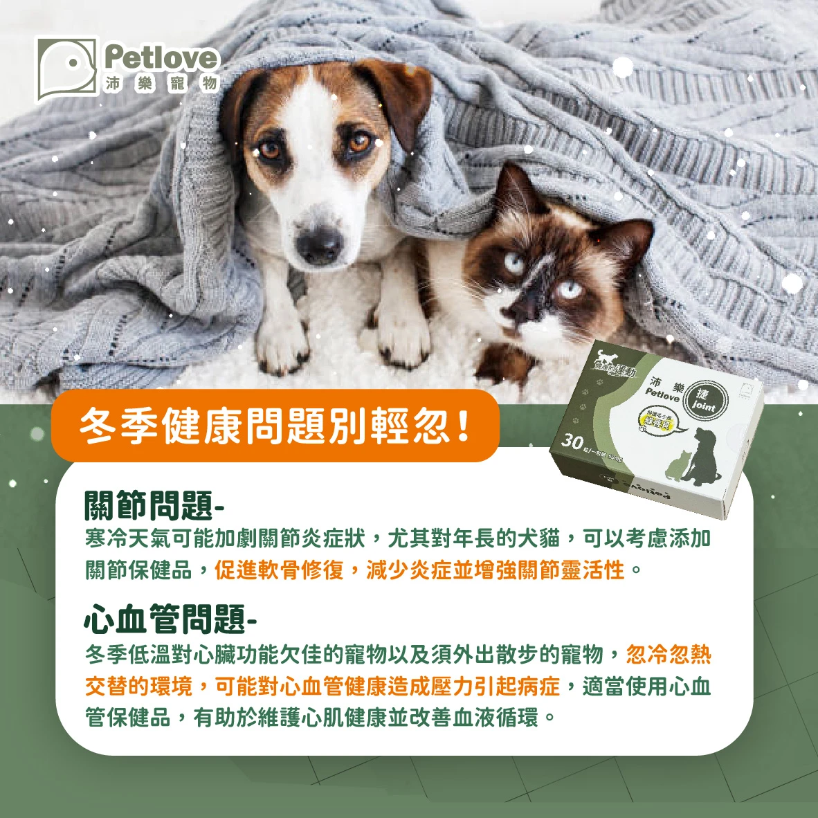 毛孩冬日抗寒|狗狗貓咪保暖與健康照護