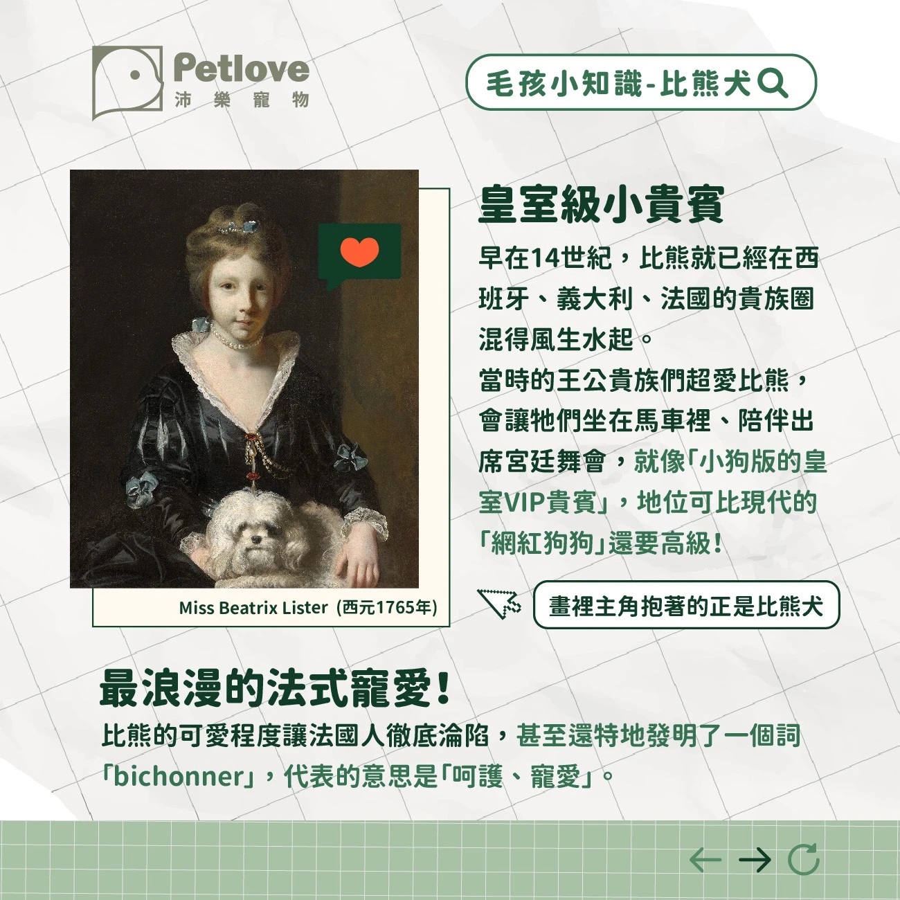 比熊犬 介紹