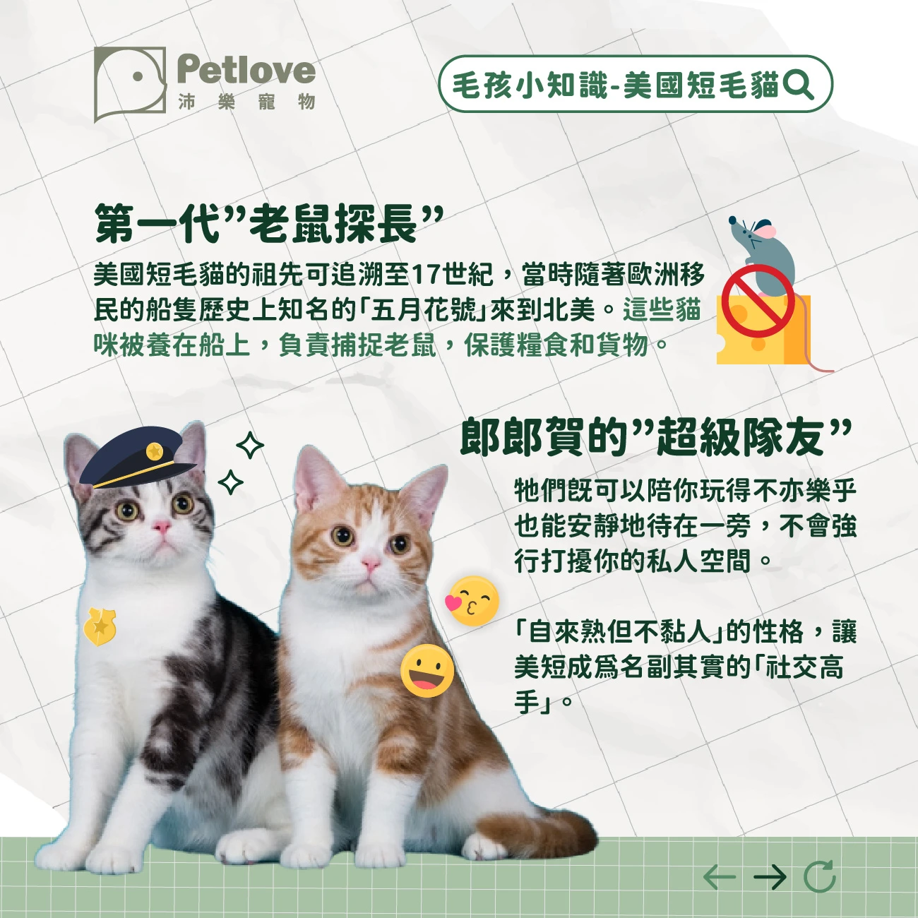美短 介紹