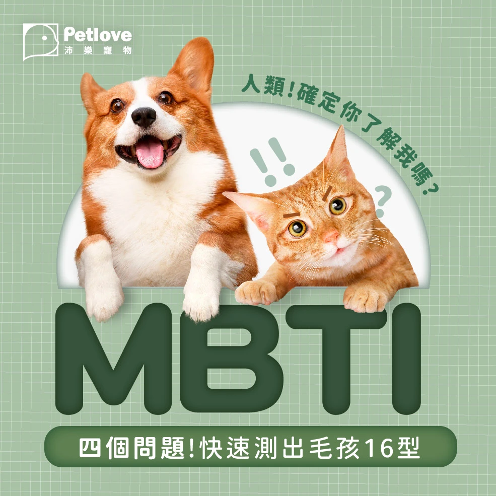 毛孩 MBTI 測驗|狗狗貓咪性格小測驗