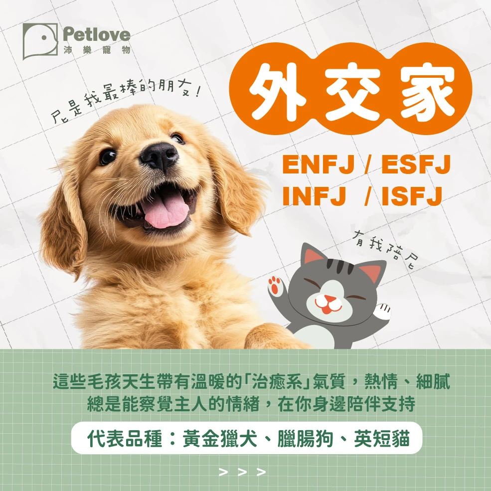 毛孩 MBTI 測驗|狗狗貓咪性格小測驗