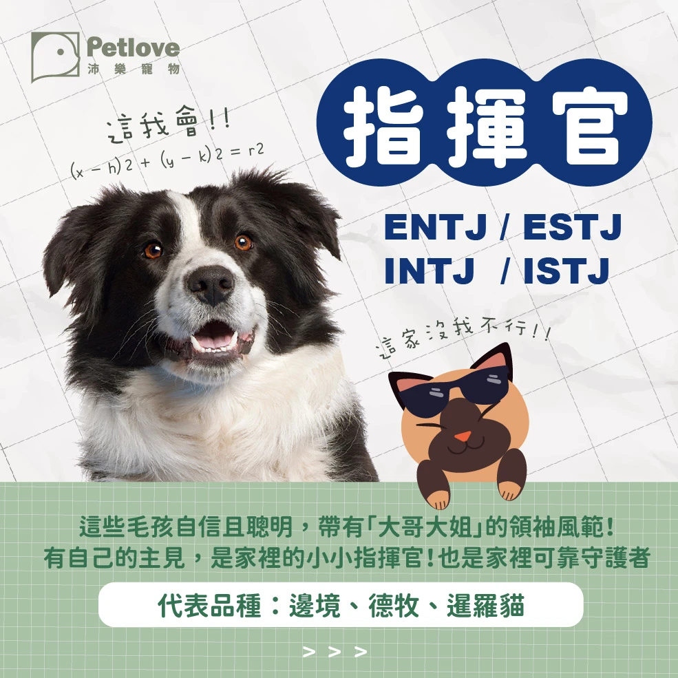 毛孩 MBTI 測驗|狗狗貓咪性格小測驗
