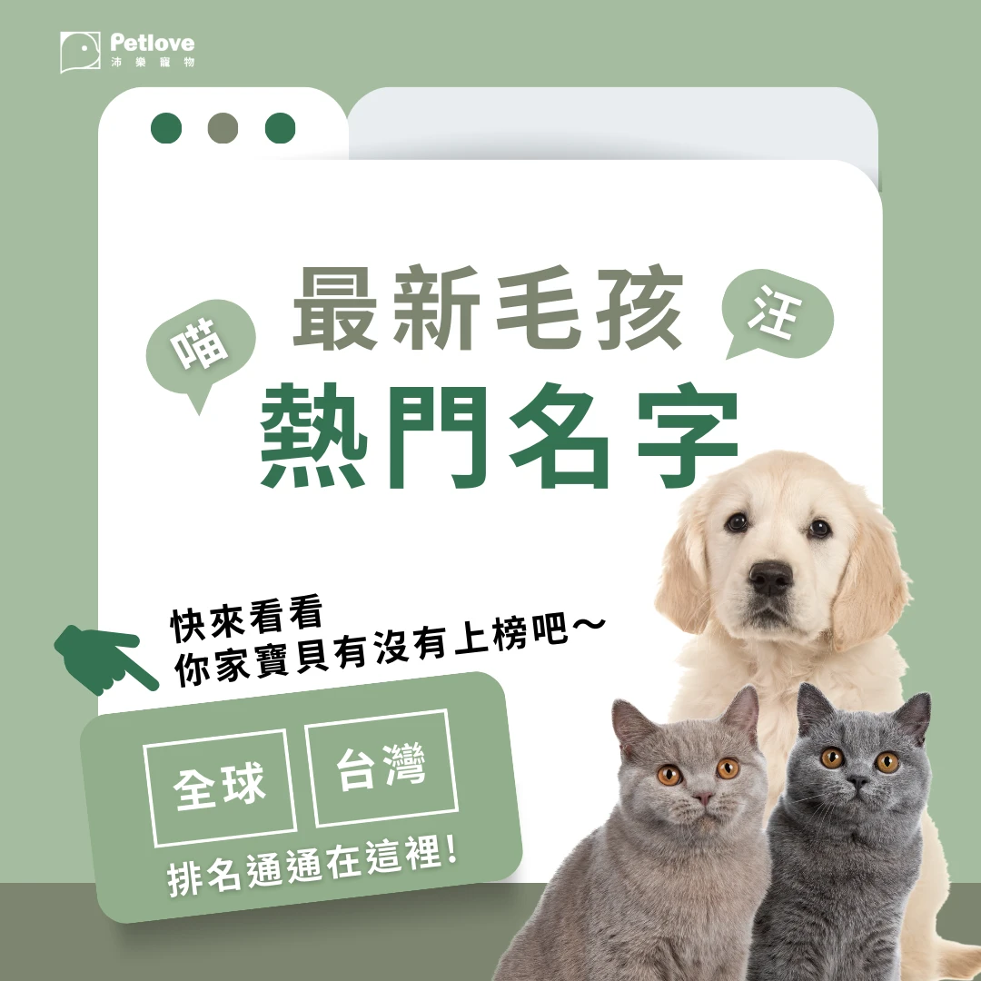 寵物名排行榜|貓狗熱門名字與命名靈感