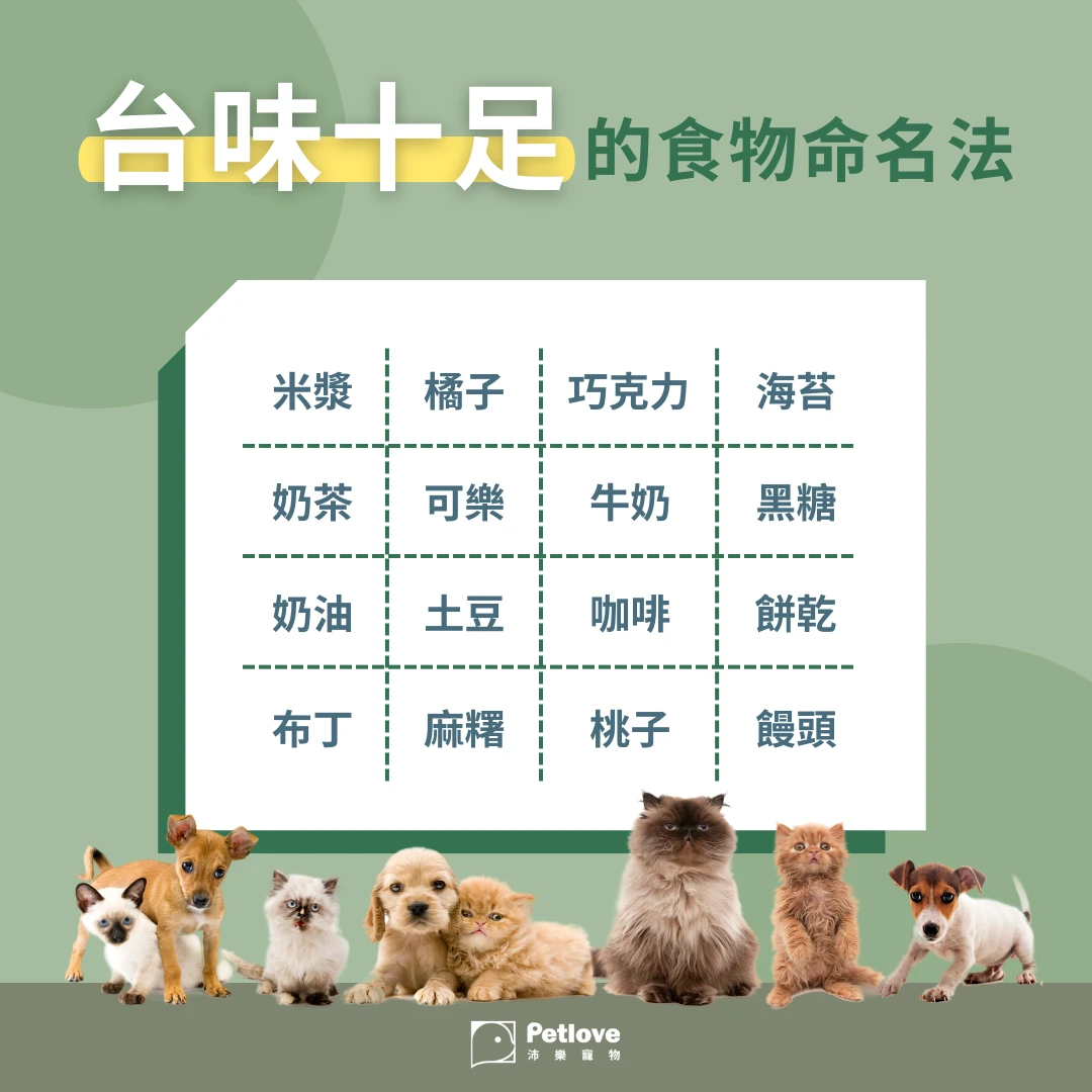 寵物名排行榜|貓狗熱門名字與命名靈感