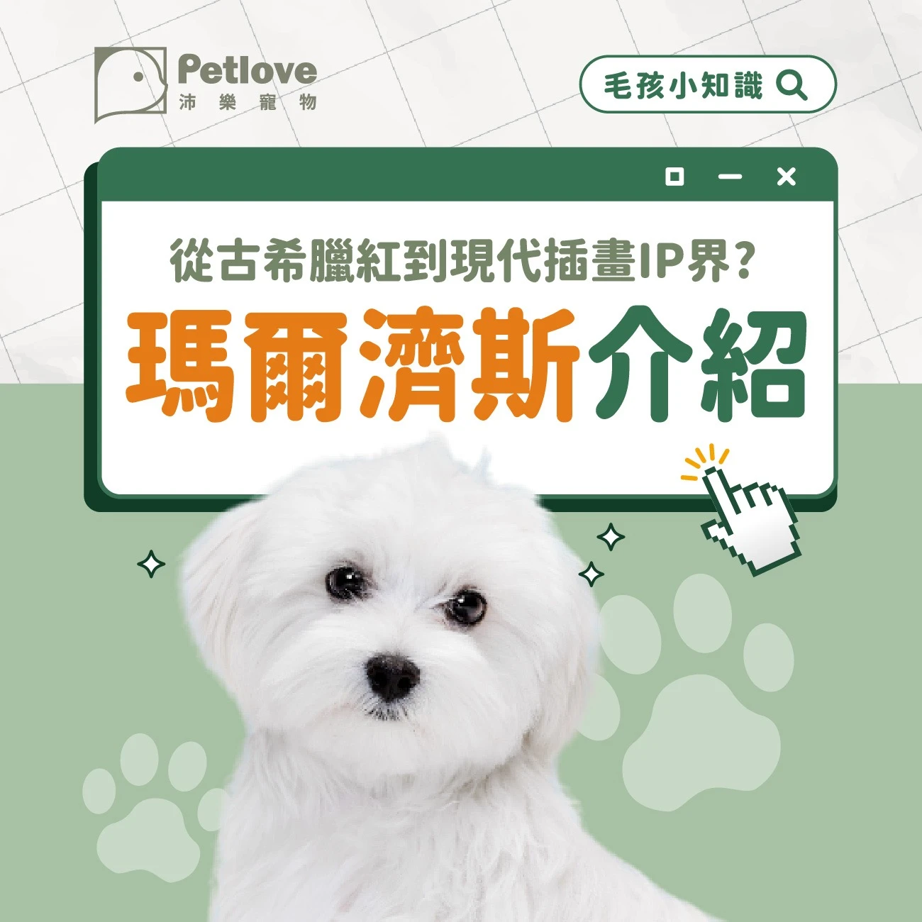 瑪爾濟斯 介紹