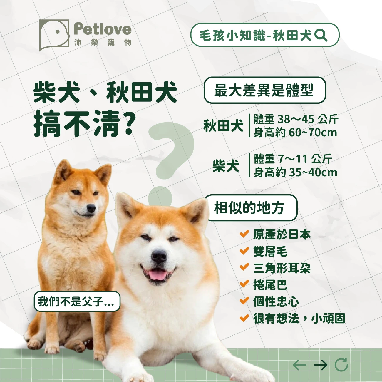 秋田犬 介紹
