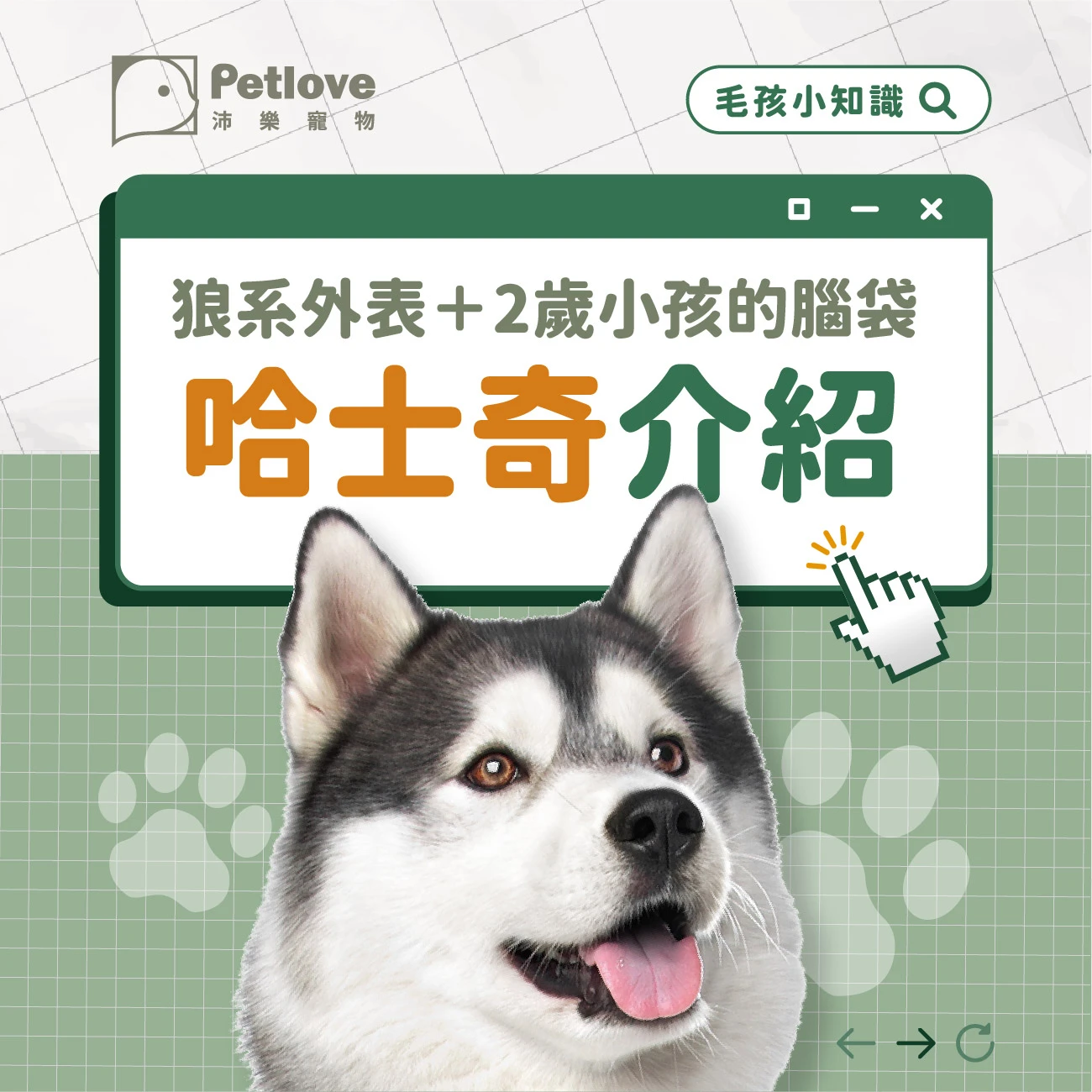 哈士奇 介紹