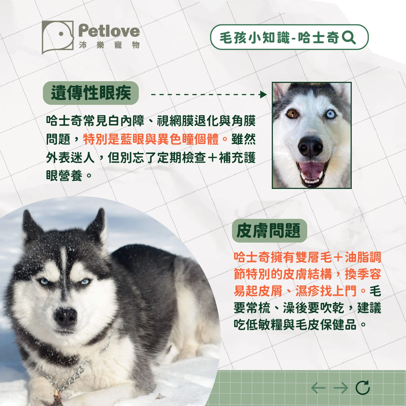 哈士奇 介紹