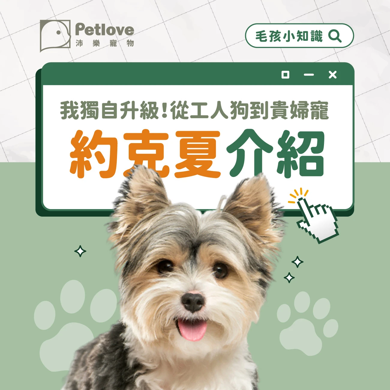 約克夏 介紹