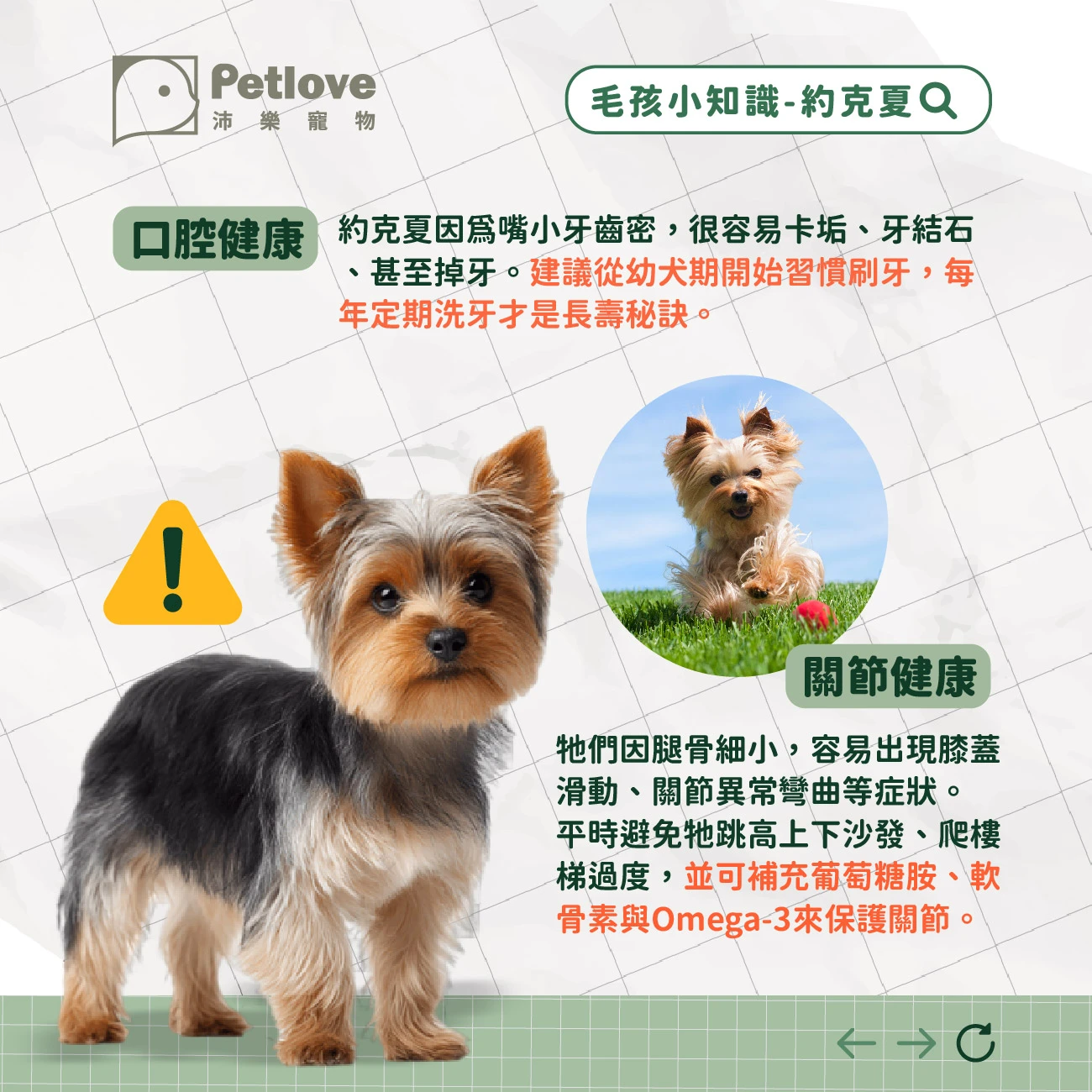 約克夏 介紹
