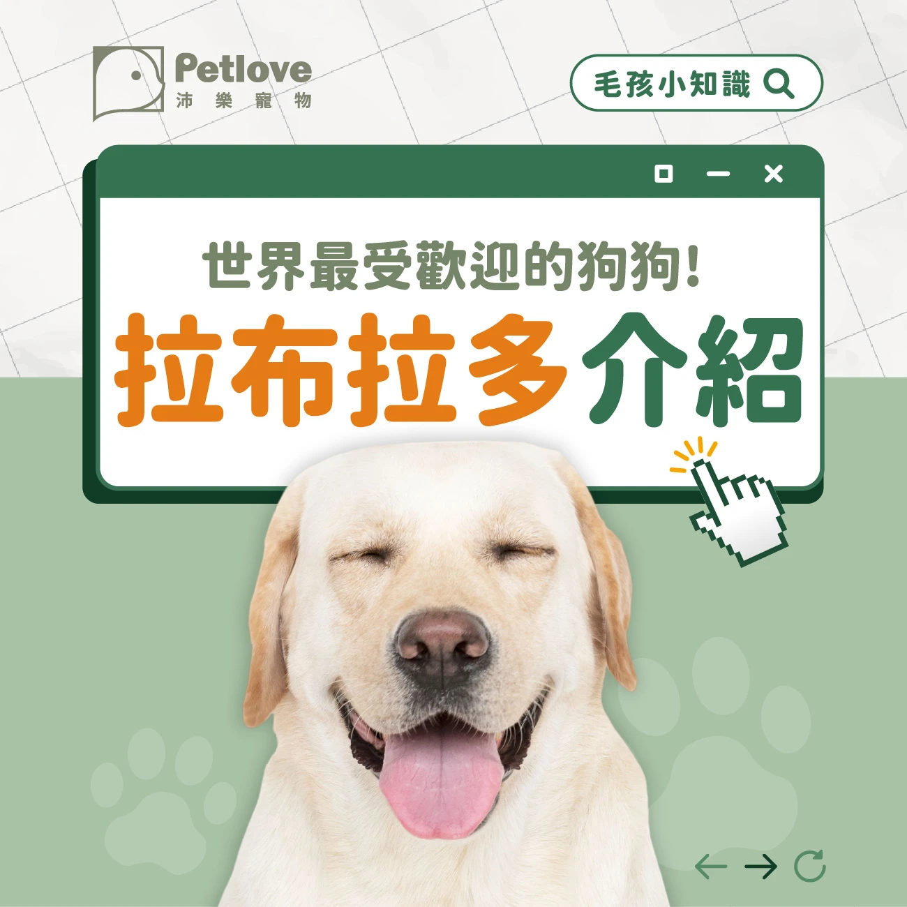 拉不拉多 介紹