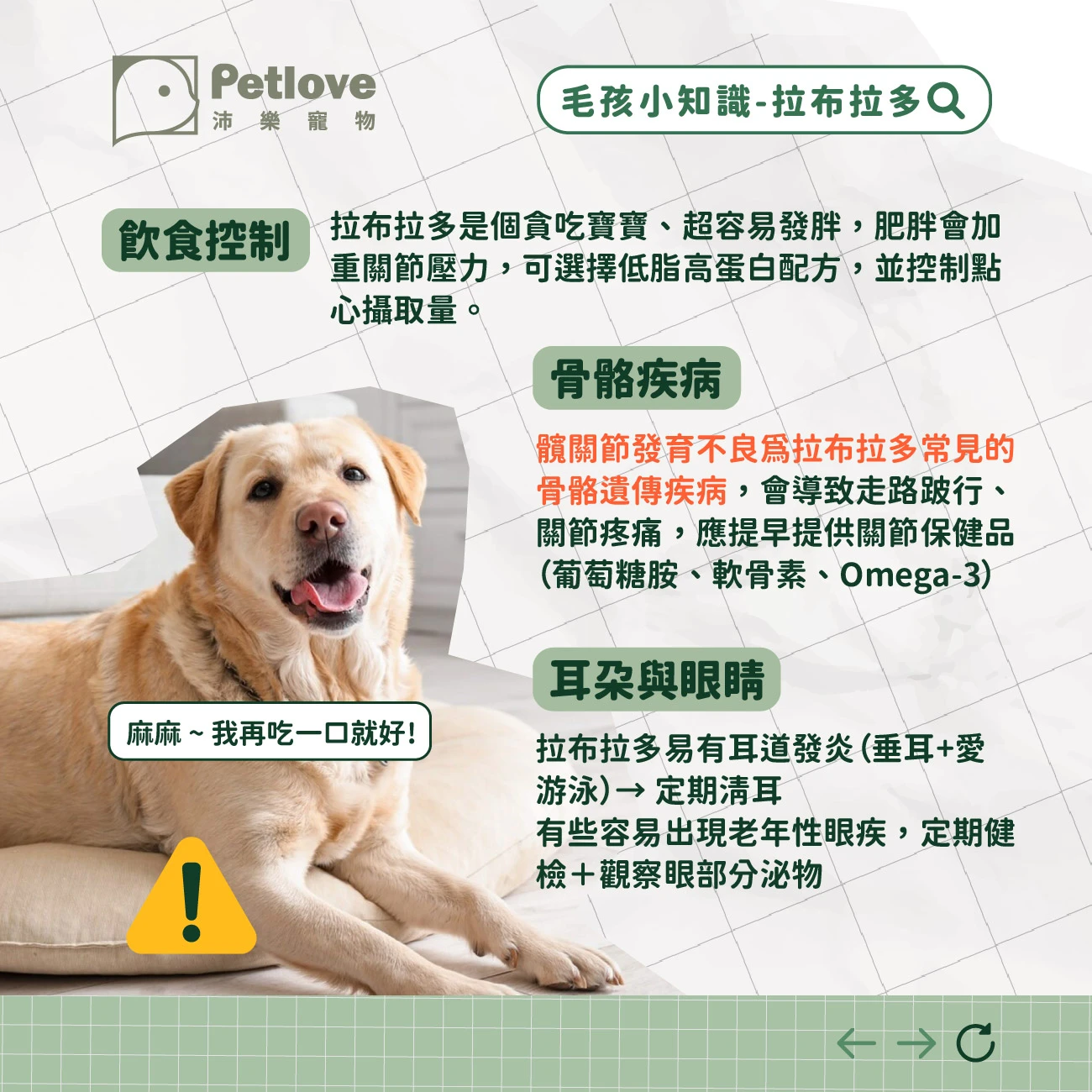 拉不拉多 介紹