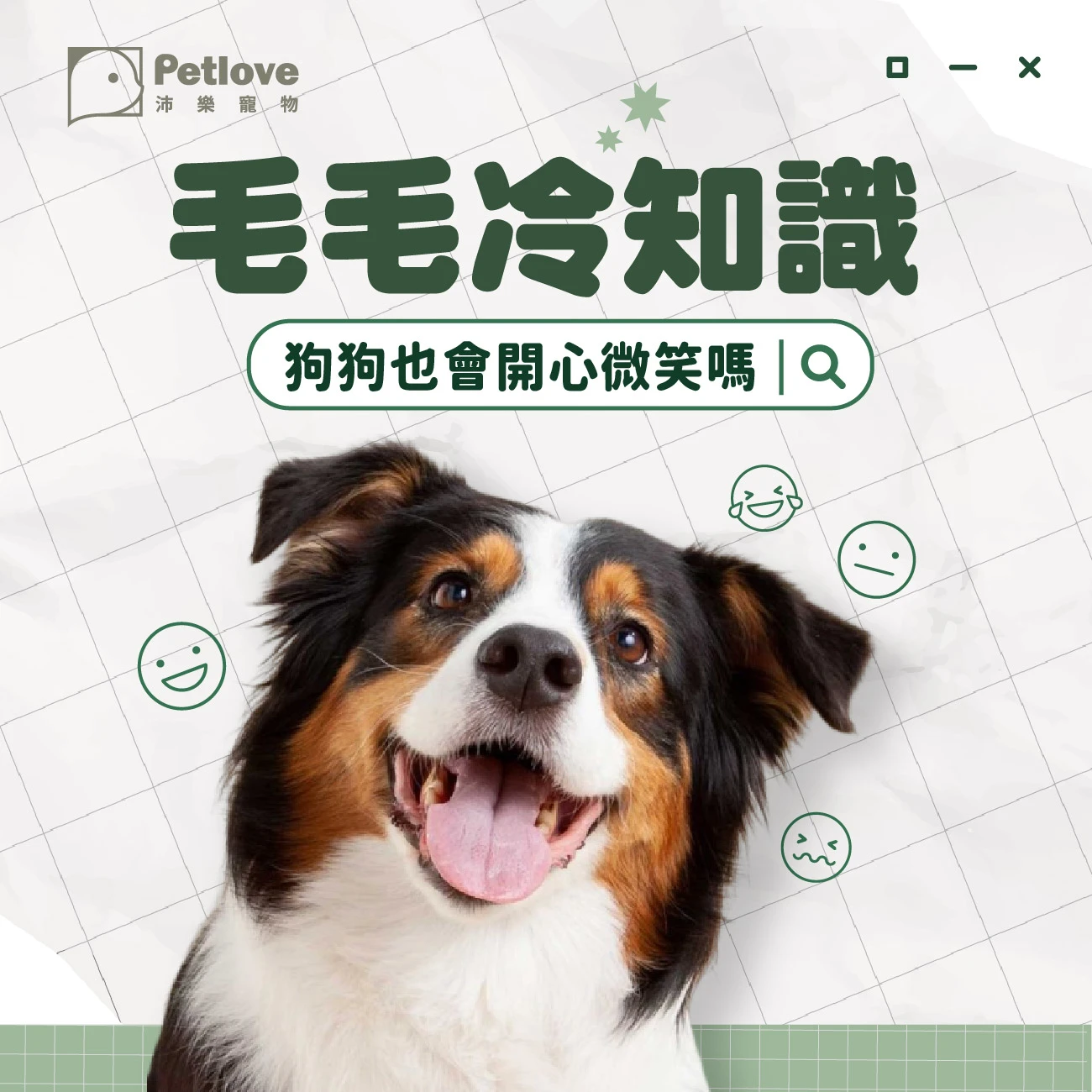 狗狗會微笑嗎？從表情判斷情緒與壓力