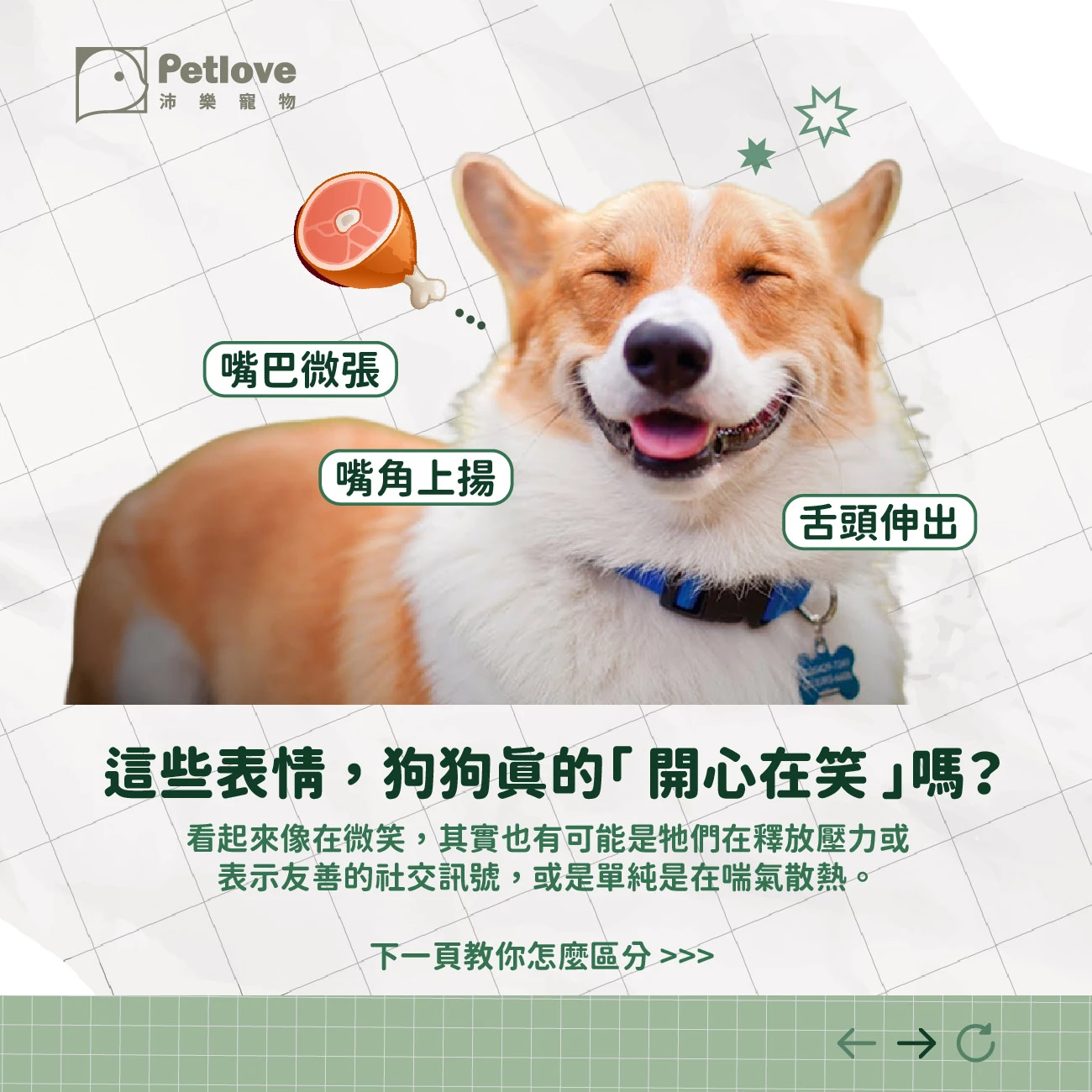 狗狗會微笑嗎？從表情判斷情緒與壓力