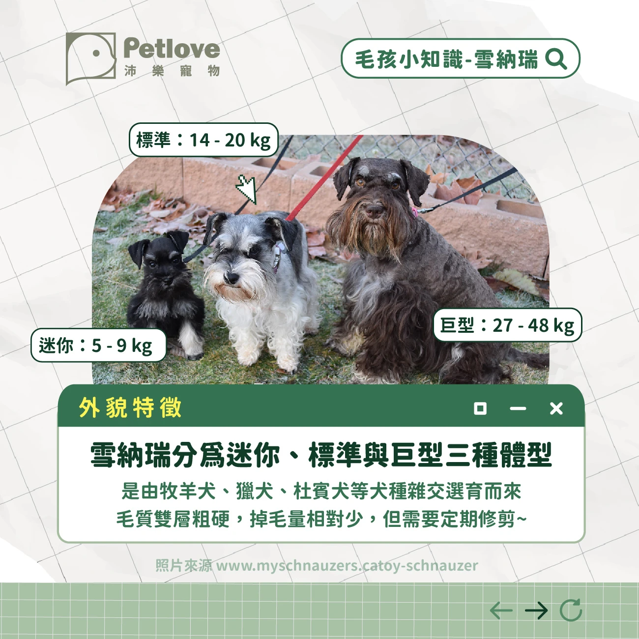 雪納瑞 介紹