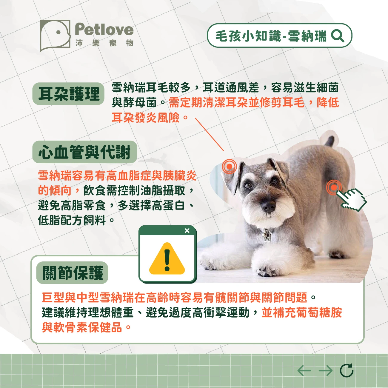 雪納瑞 介紹