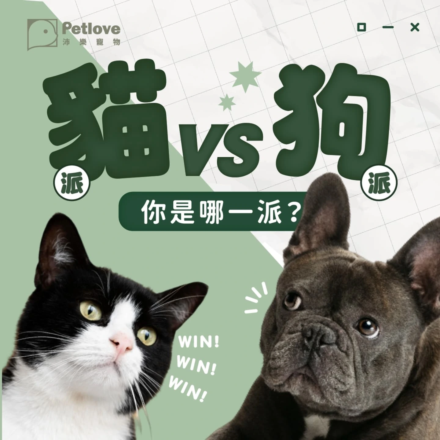 貓派狗派差在哪？飼養生活、互動需求與照護差異