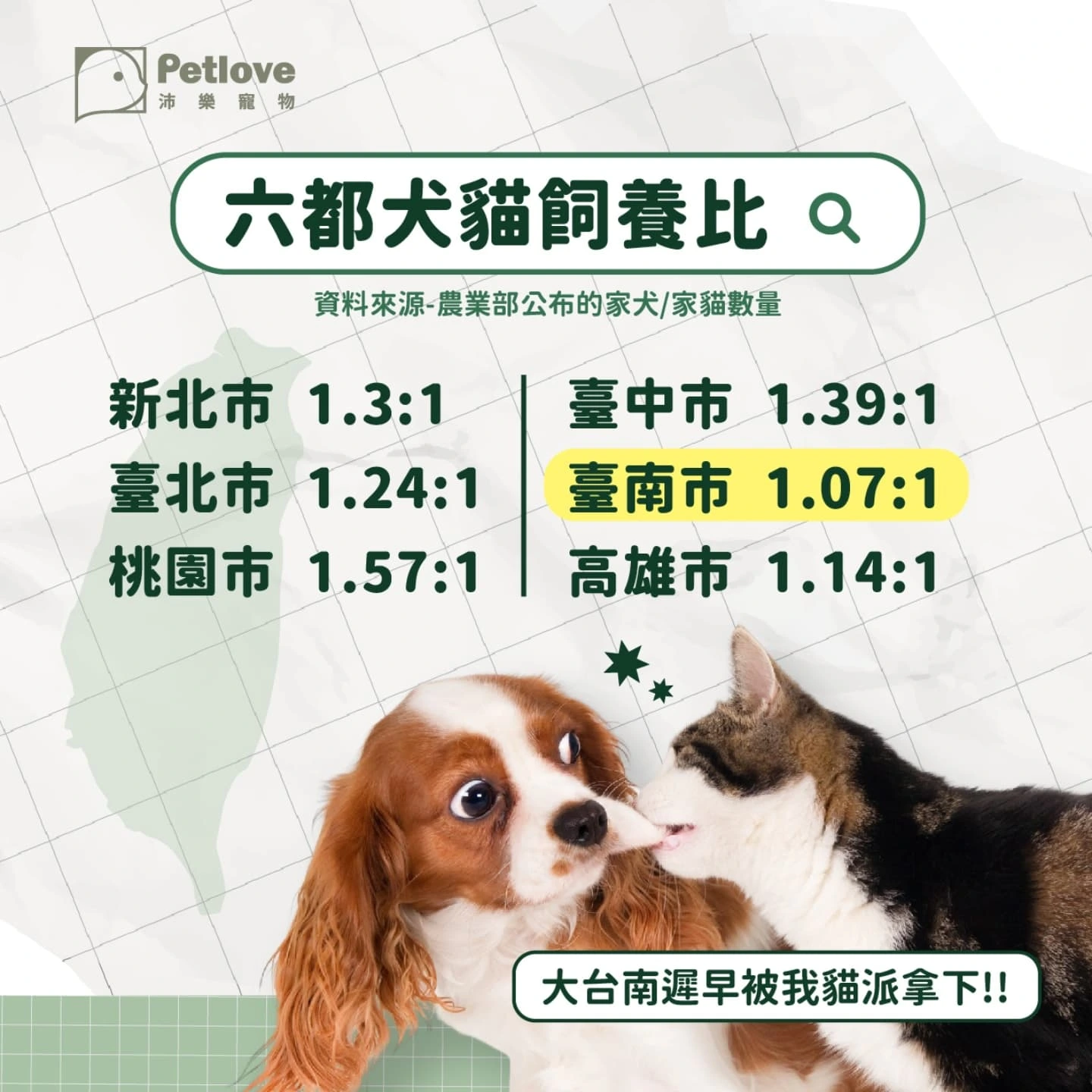 貓派狗派差在哪?飼養生活、互動需求與照護差異
