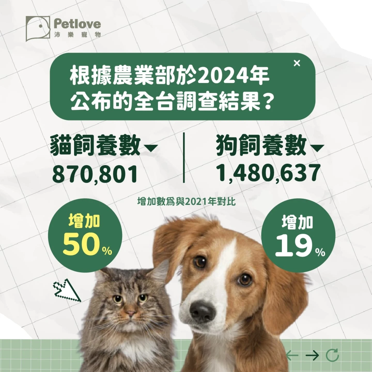 貓派狗派差在哪?飼養生活、互動需求與照護差異
