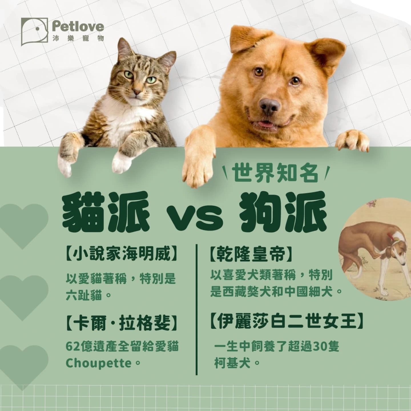 貓派狗派差在哪?飼養生活、互動需求與照護差異