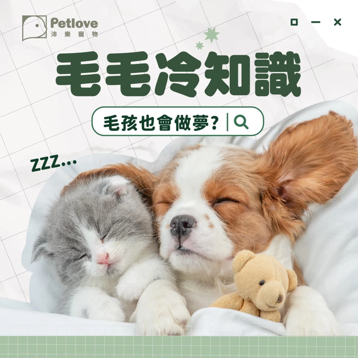 毛孩睡姿看情緒？狗狗貓咪睡覺姿勢觀察