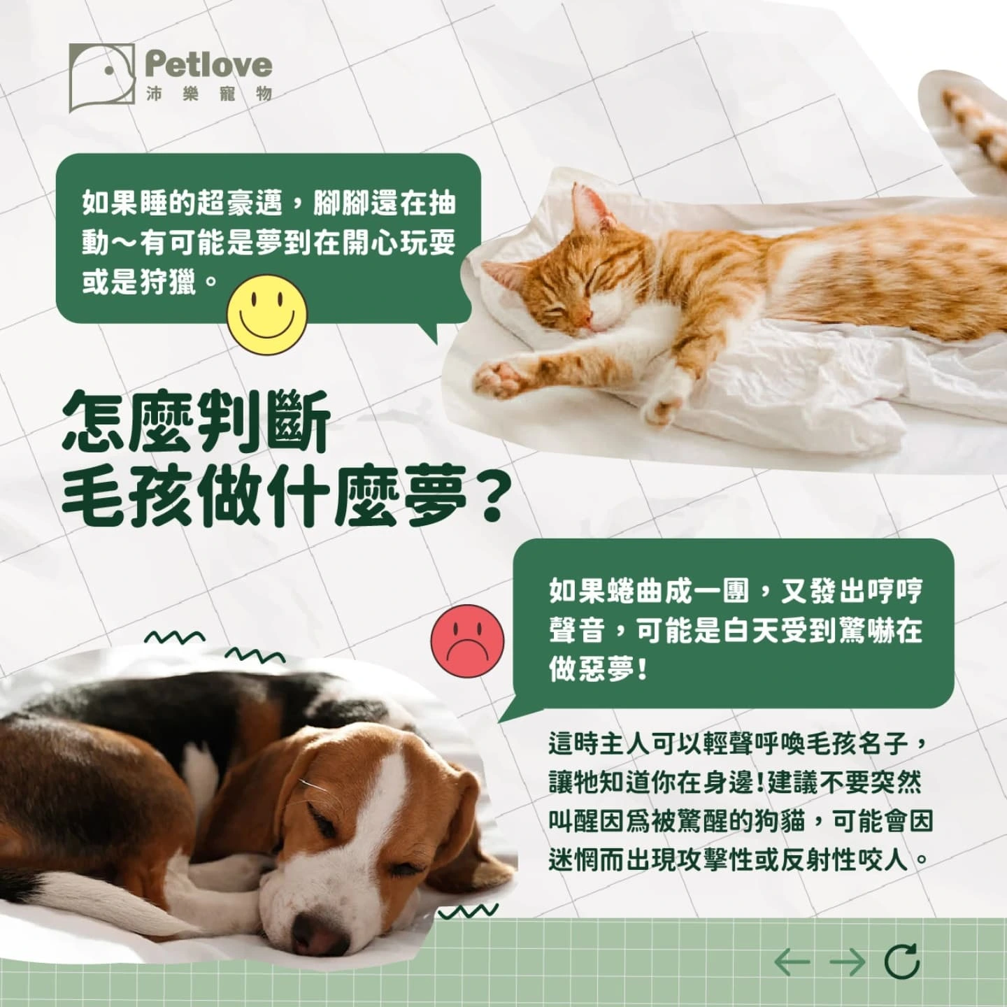 毛孩睡姿看情緒?狗狗貓咪睡覺姿勢觀察