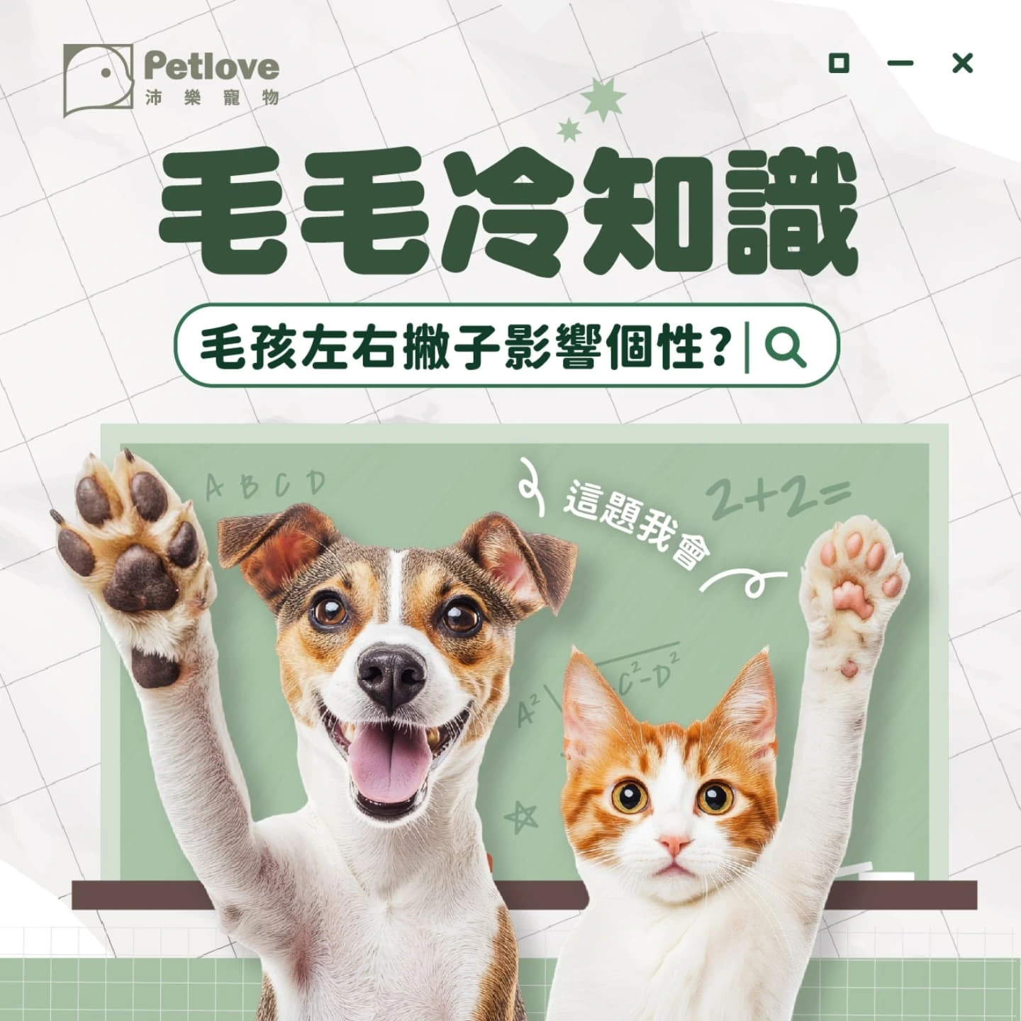 貓狗也有慣用手嗎？左右撇子與肢體偏好觀察