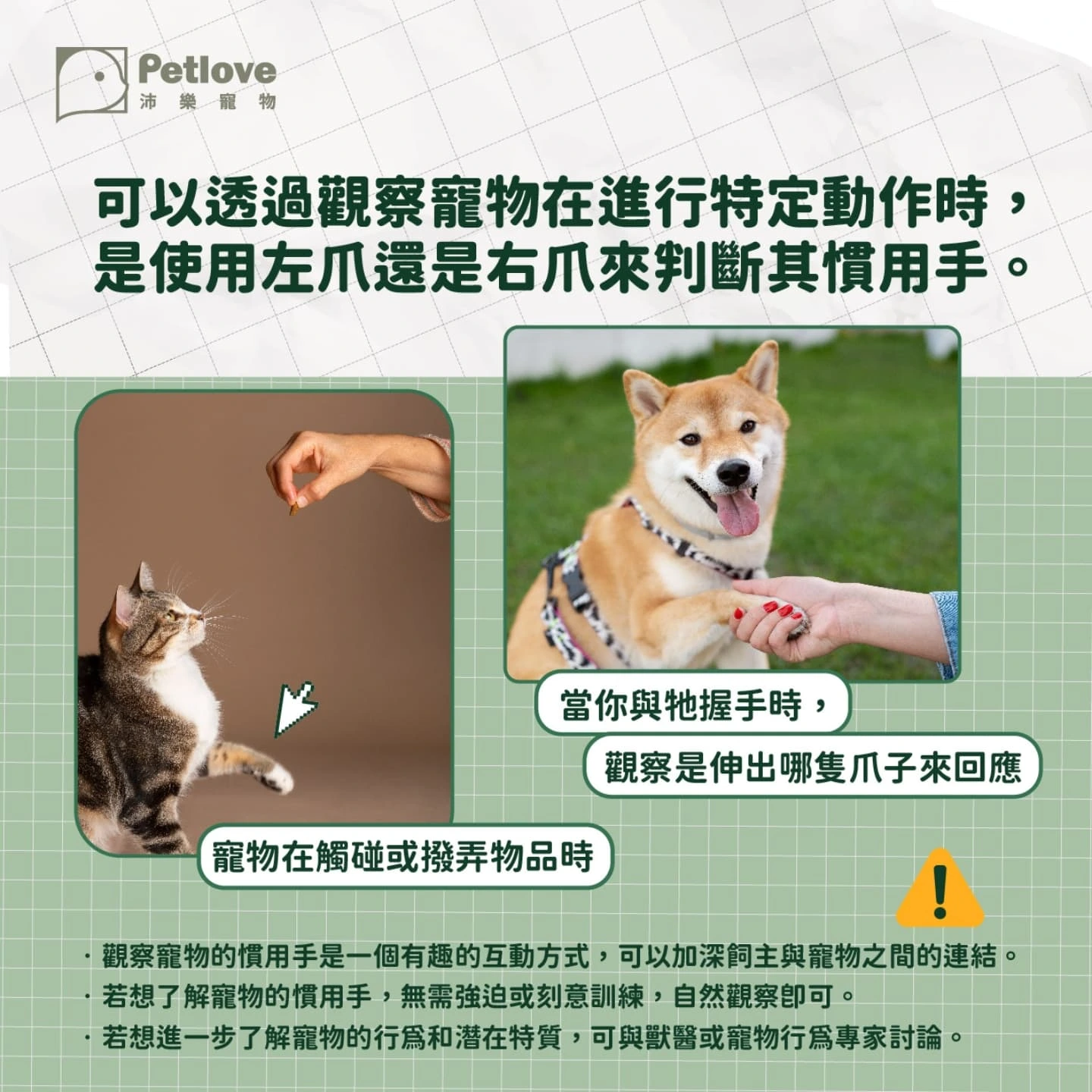 貓狗也有慣用手嗎？左右撇子與肢體偏好觀察
