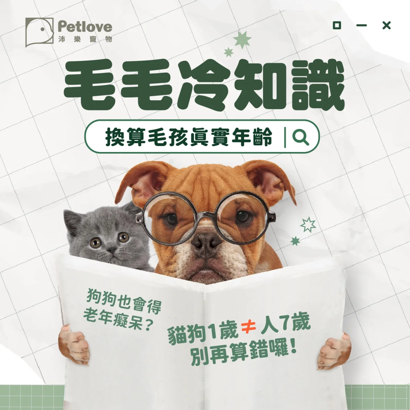 毛孩年齡怎麼換算？狗狗貓咪生命階段照護重點