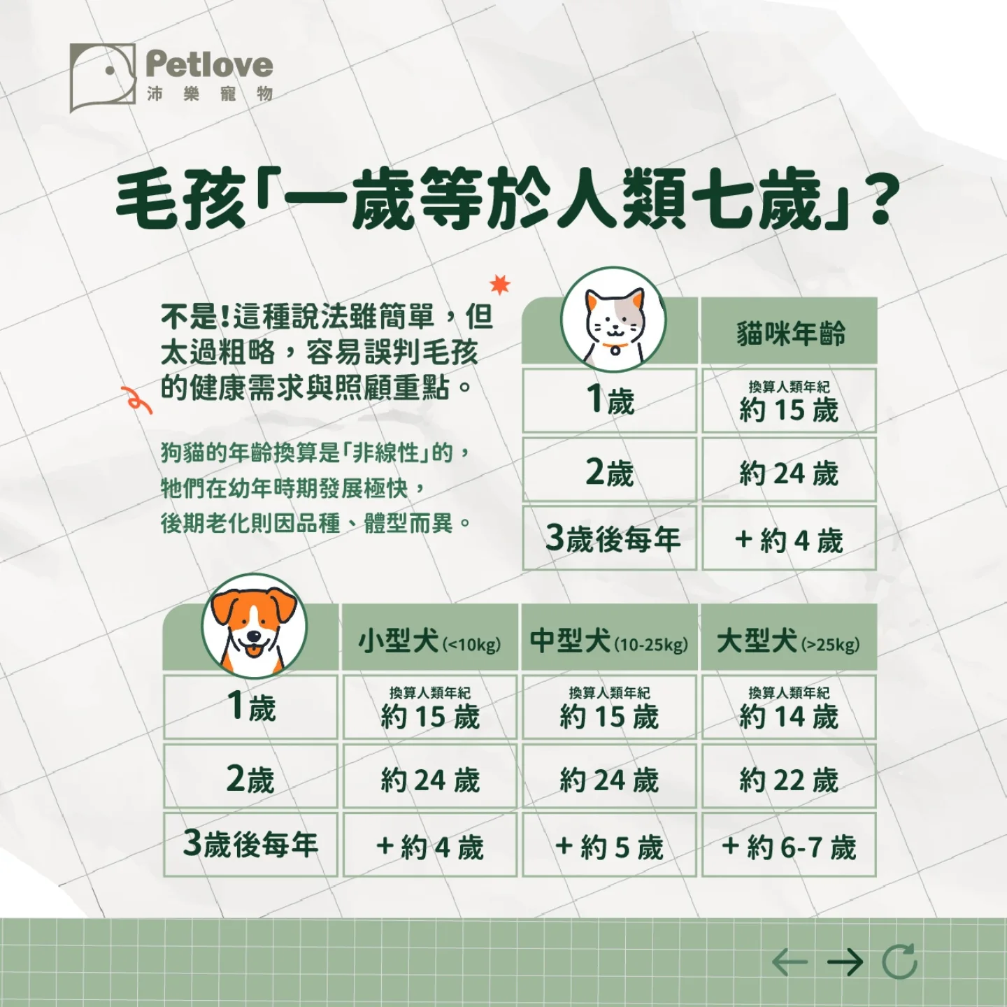 毛孩年齡怎麼換算?狗狗貓咪生命階段照護重點
