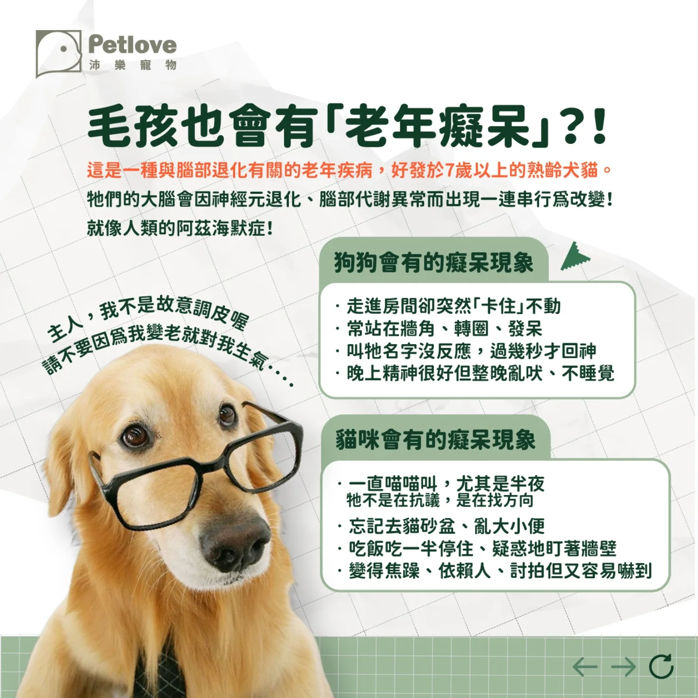 毛孩年齡怎麼換算?狗狗貓咪生命階段照護重點
