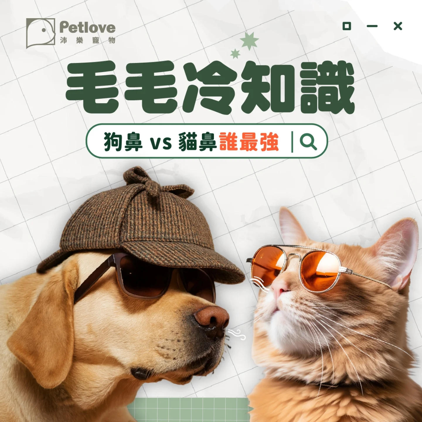 狗狗貓咪鼻頭冷熱代表什麼？日常觀察重點