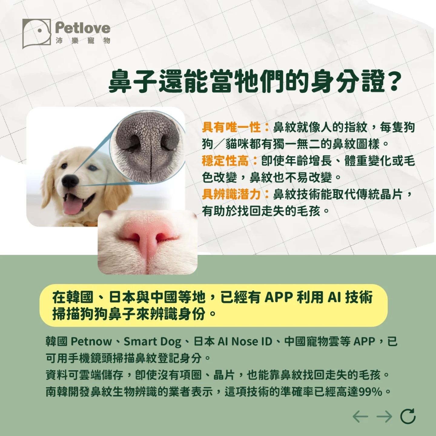狗狗貓咪鼻頭冷熱代表什麼?日常觀察重點