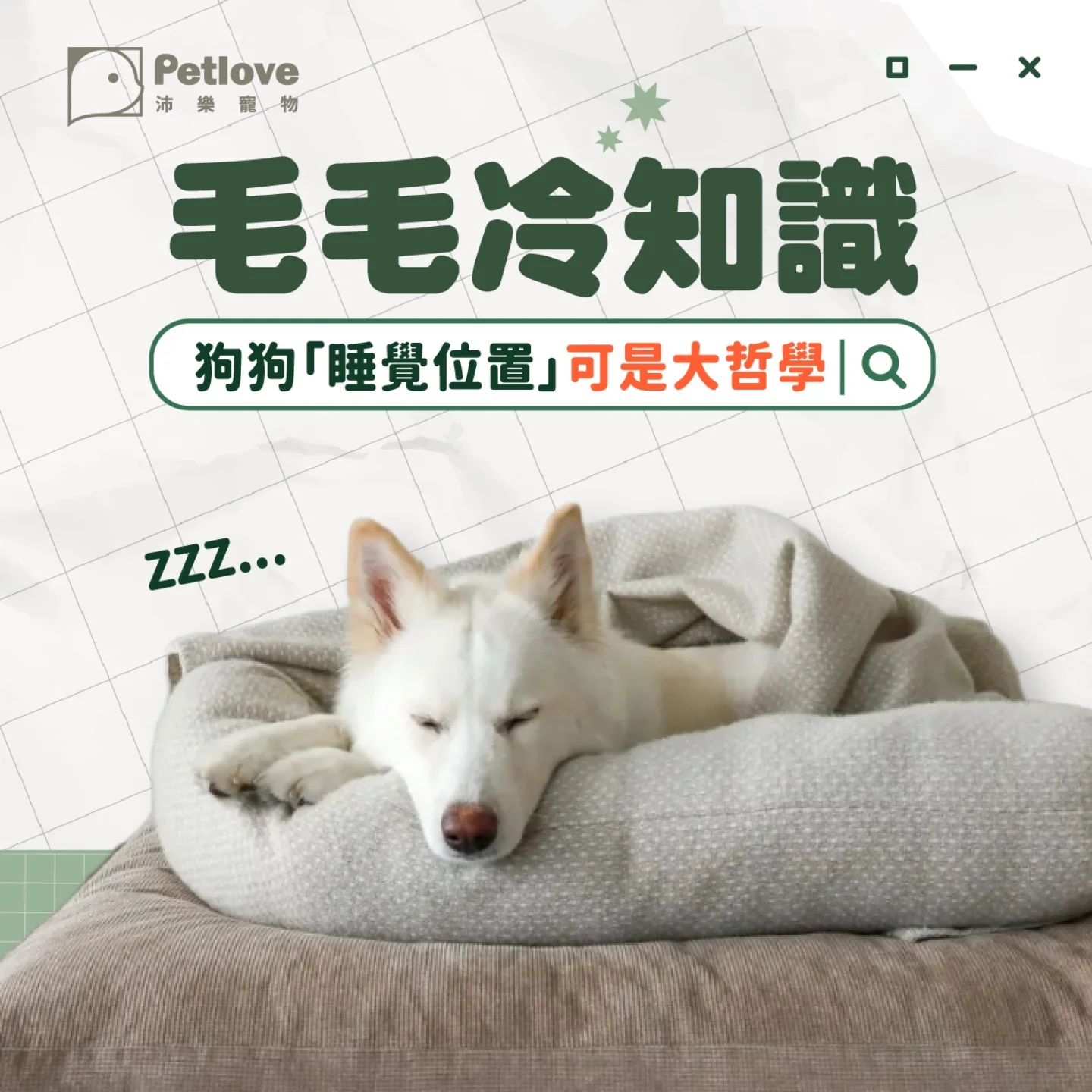 狗狗睡姿代表什麼？從睡眠觀察毛孩安全感