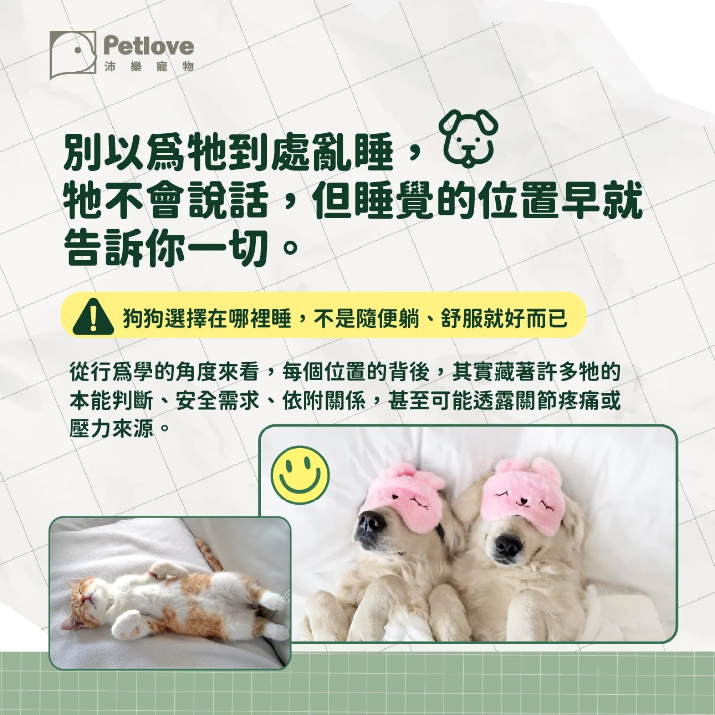 狗狗睡姿代表什麼?從睡眠觀察毛孩安全感