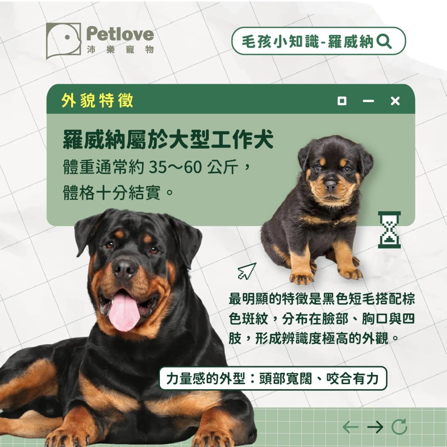 羅威納介紹