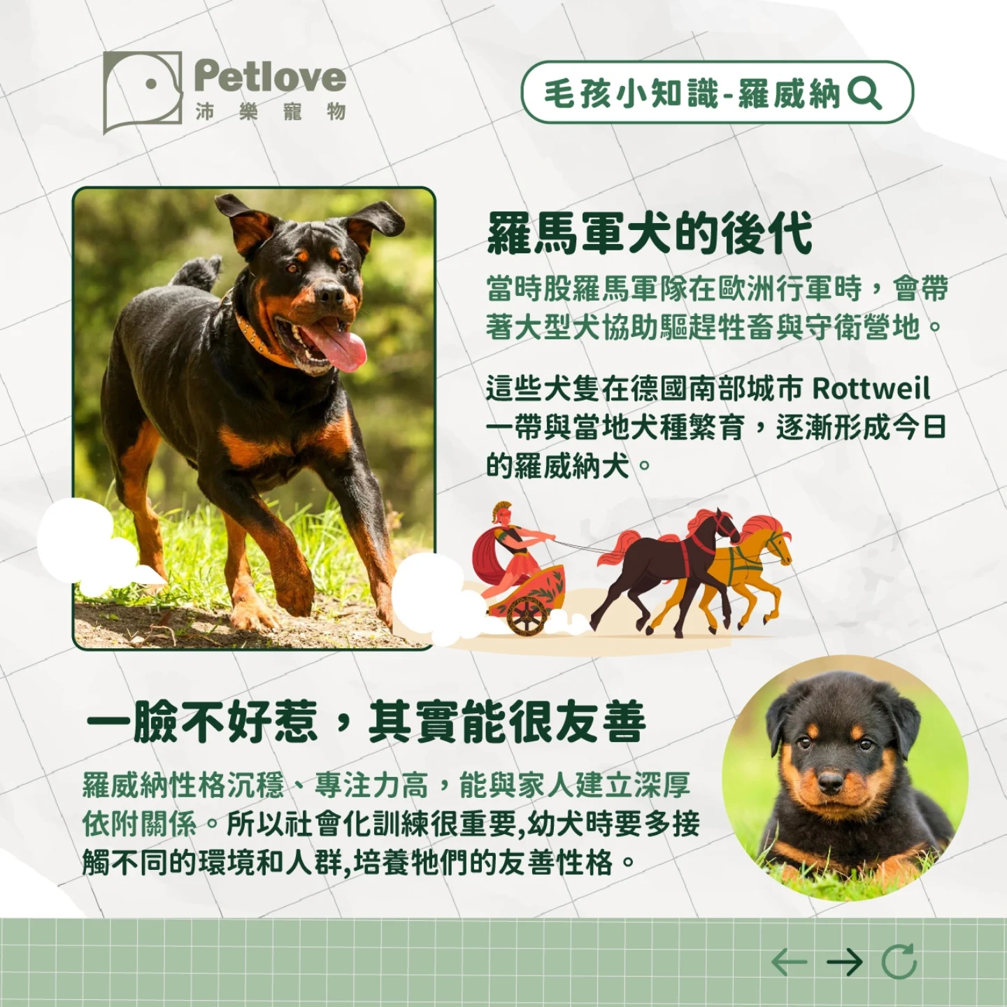 羅威納介紹