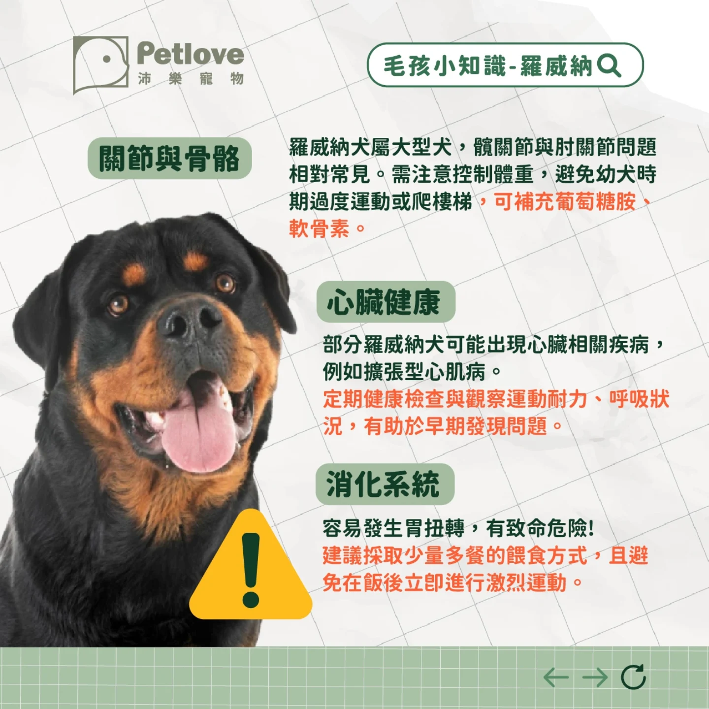羅威納介紹