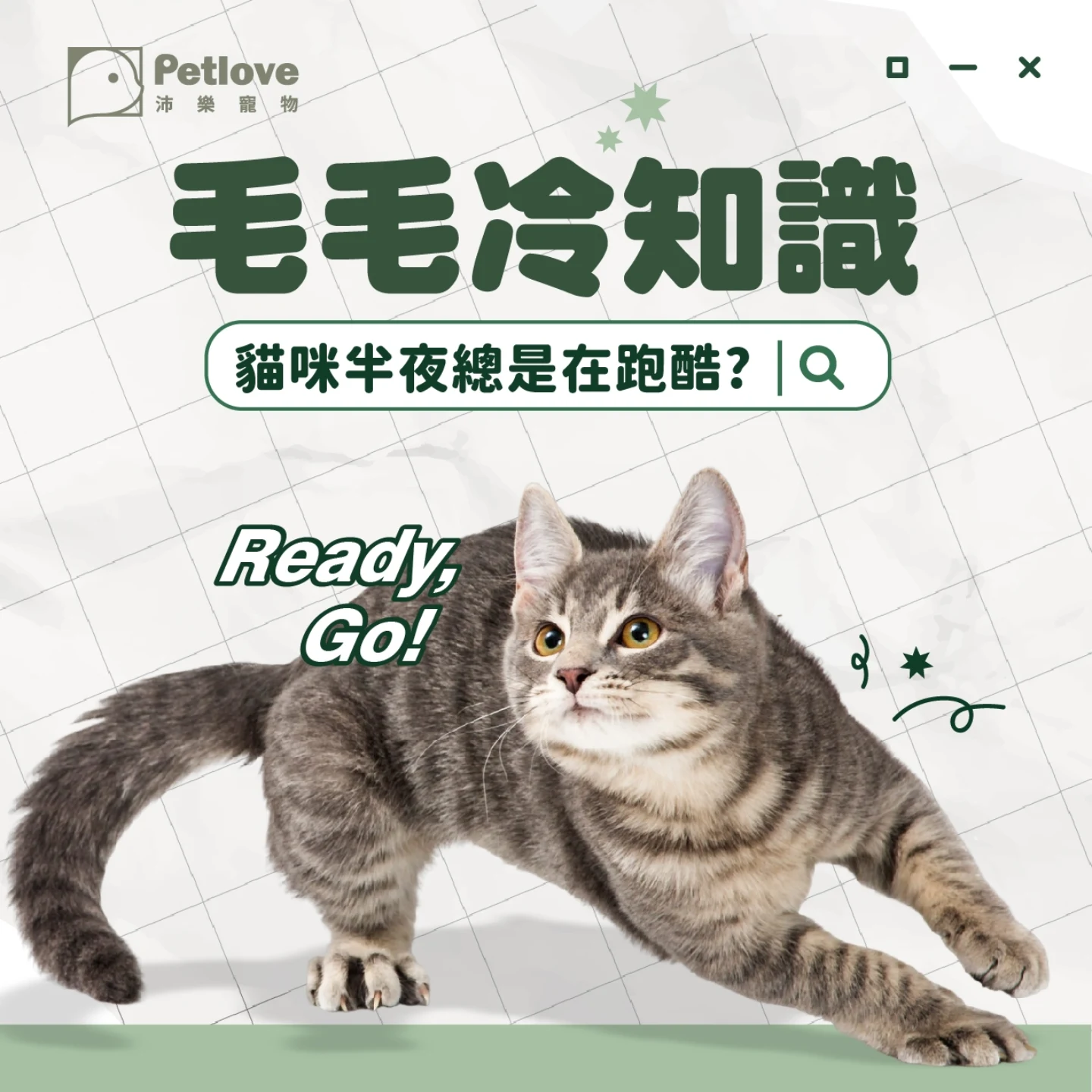 貓咪半夜暴衝是什麼原因?|貓咪行為原因與日常觀察