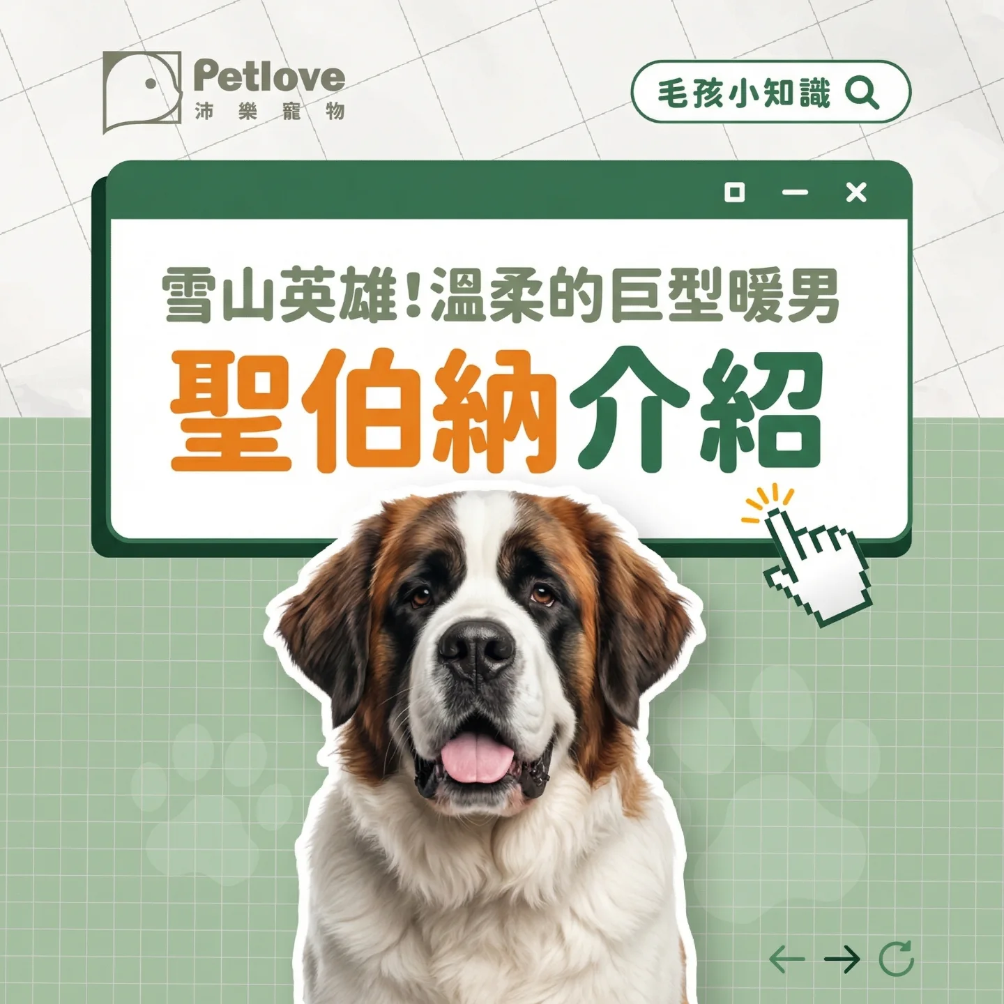 聖伯納犬介紹